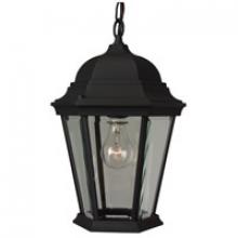  Z251-TB - Straight Glass Cast 1 Light Outdoor Pendant in Textured Black