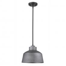  1655GY - Barnes 1-Light Gray Convertible Pendant