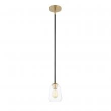  FSN-8103-CLER-MBBR - Arcwell 1-Light Pendant