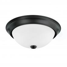  214722MB - 2 Light Flush Mount