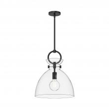  PD411814MBCL - Waldo 14-in Matte Black/Clear Glass 1 Light Pendant