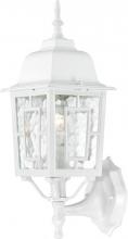  60/4924 - Banyan - 1 Light 17" Wall Lantern with Clear Water Glass - White Finish