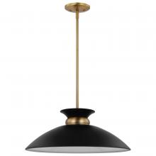  60/7461 - Perkins; 1 Light; Medium Pendant; Matte Black with Burnished Brass