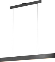  PP120288-SDG - Prometheus Linear Pendant, Single Light Pendant