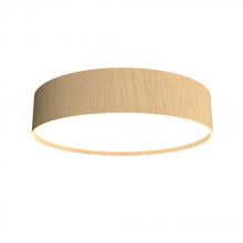  5012LED.34 - Cylindrical Accord Ceiling Mounted 5012 LED