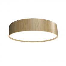  5014LED.45 - Cylindrical Accord Ceiling Mounted 5014 LED