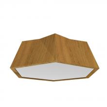  5063LED.09 - Physalis Accord Ceiling Mounted 5063 LED