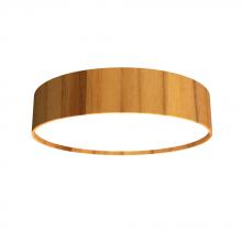  529LED.12 - Cylindrical Accord Ceiling Mounted 529 LED